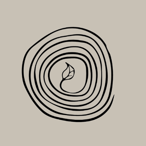 de-notre-httpswww-amazon-com-brdpB0GZQPT2ZJ-500-x-500-px--20.png
