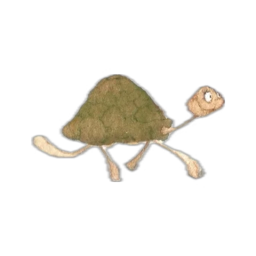 tartaruga2.webp